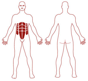 Pictogramme illustrant les groupes musculaires sollicités par l'utilisation de cet équipement. FITPARK