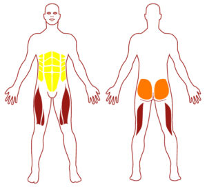 Pictogramme illustrant les groupes musculaires sollicités par l'utilisation de cet équipement. FITPARK